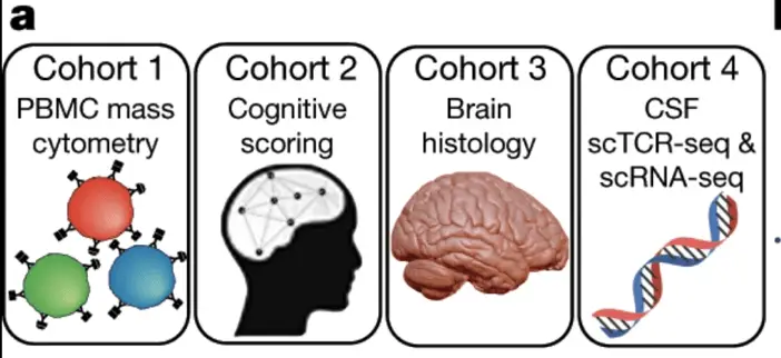 4 different cohorts used for neuro-immuno profiling