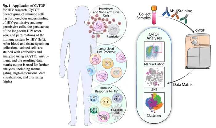 CyTOF and HIV protocol