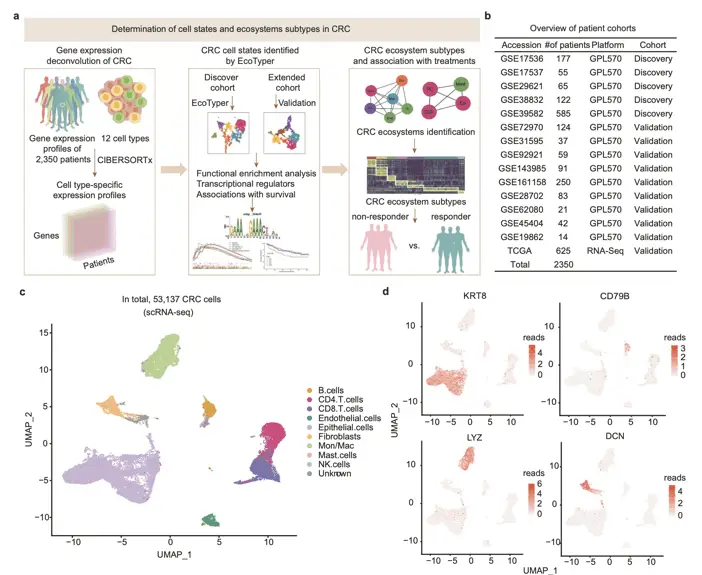 Linking cell phenotype and progression free survival