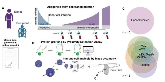 Global immune signatures predicting clinical outcomes