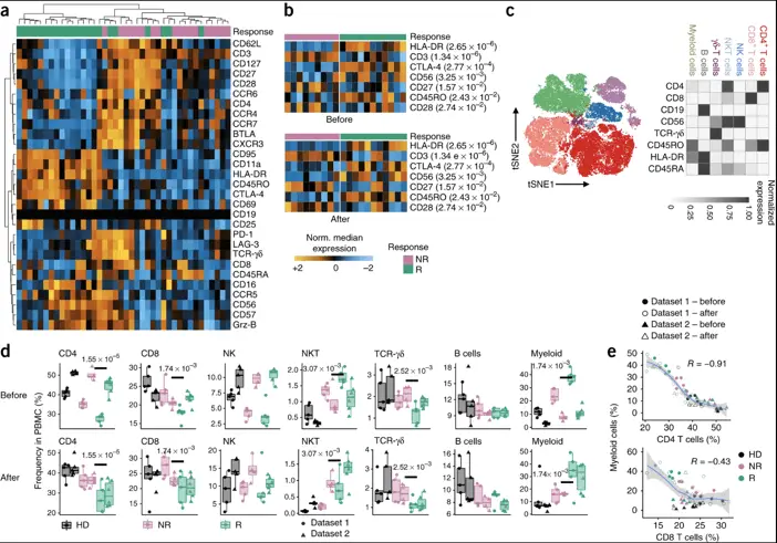 Immunotherapy Response prediction