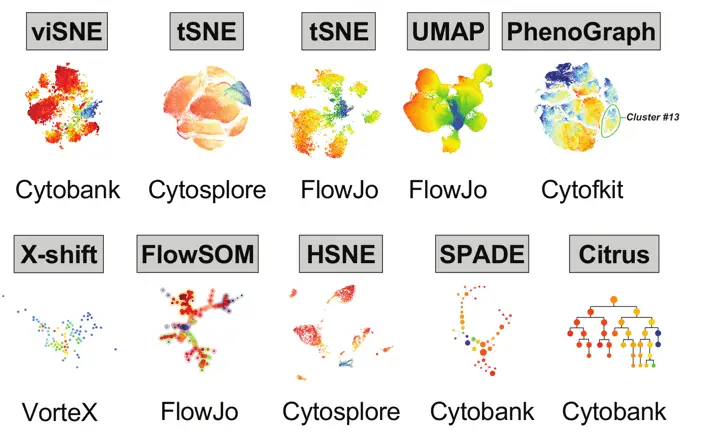 Different mass cytometry analysis