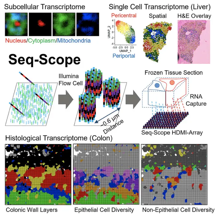 spatial analysis