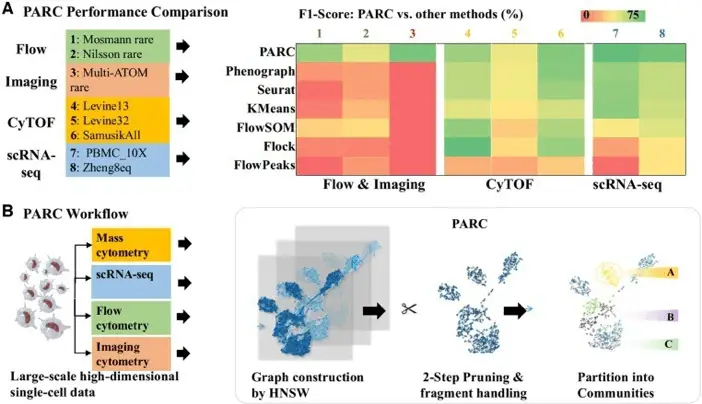 Performance and workflow of PARC algorithm