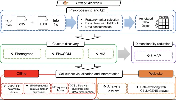 Performance and description of Crusty workflow