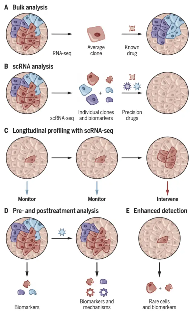 Different RNA sequencing analysis